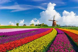 Amsterdam Tulip Garden Experience - Europe Tour Package for Mumbai Travel Agents