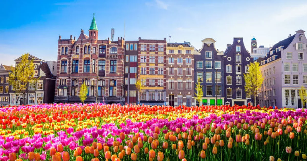 Best Amsterdam DMC in Delhi - GYF Holidays